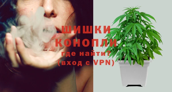 твердый Осташков