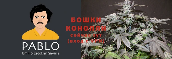 твердый Осташков