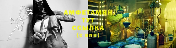 ГАЛЛЮЦИНОГЕННЫЕ ГРИБЫ Осинники