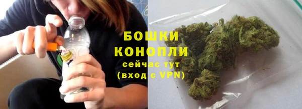 твердый Осташков