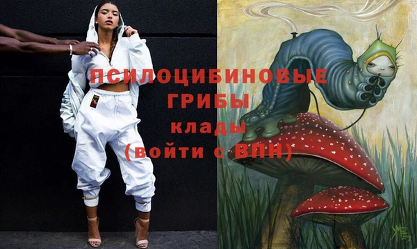 ГАЛЛЮЦИНОГЕННЫЕ ГРИБЫ Осинники