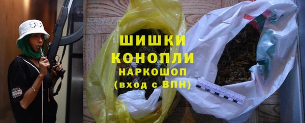 ГАЛЛЮЦИНОГЕННЫЕ ГРИБЫ Осинники