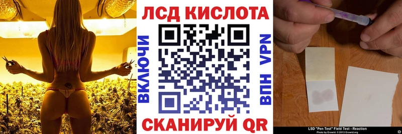 Наркотические марки 1500мкг Губкинский
