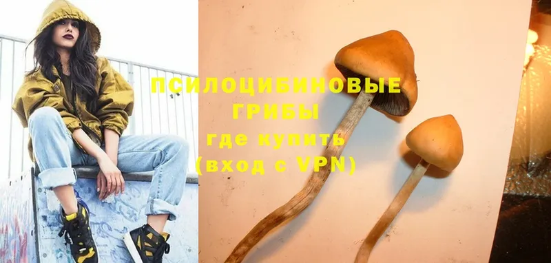 Галлюциногенные грибы MAGIC MUSHROOMS  Губкинский 