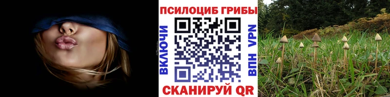 Псилоцибиновые грибы мухоморы  где можно купить наркотик  omg ТОР  сайты даркнета телеграм  Губкинский 