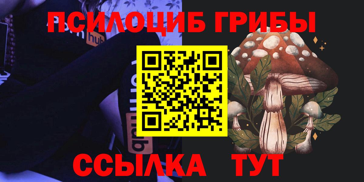 Галлюциногенные грибы MAGIC MUSHROOMS  где найти   Губкинский 