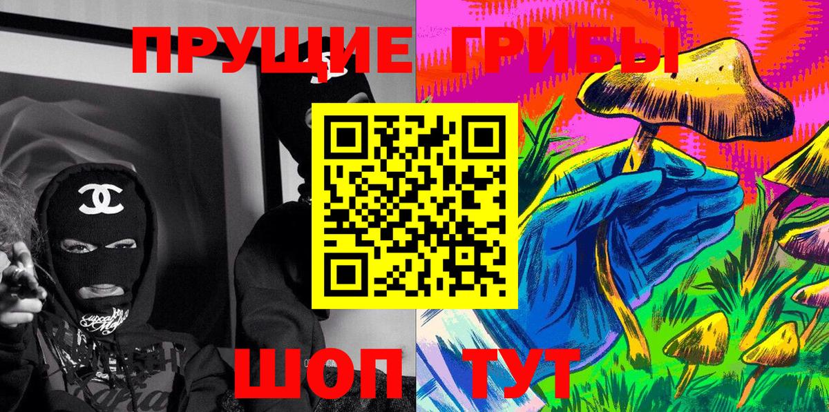 Псилоцибиновые грибы Psilocybine cubensis Губкинский