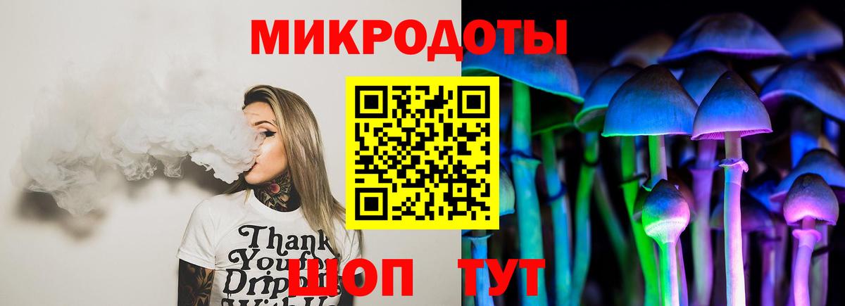 Галлюциногенные грибы Cubensis Губкинский