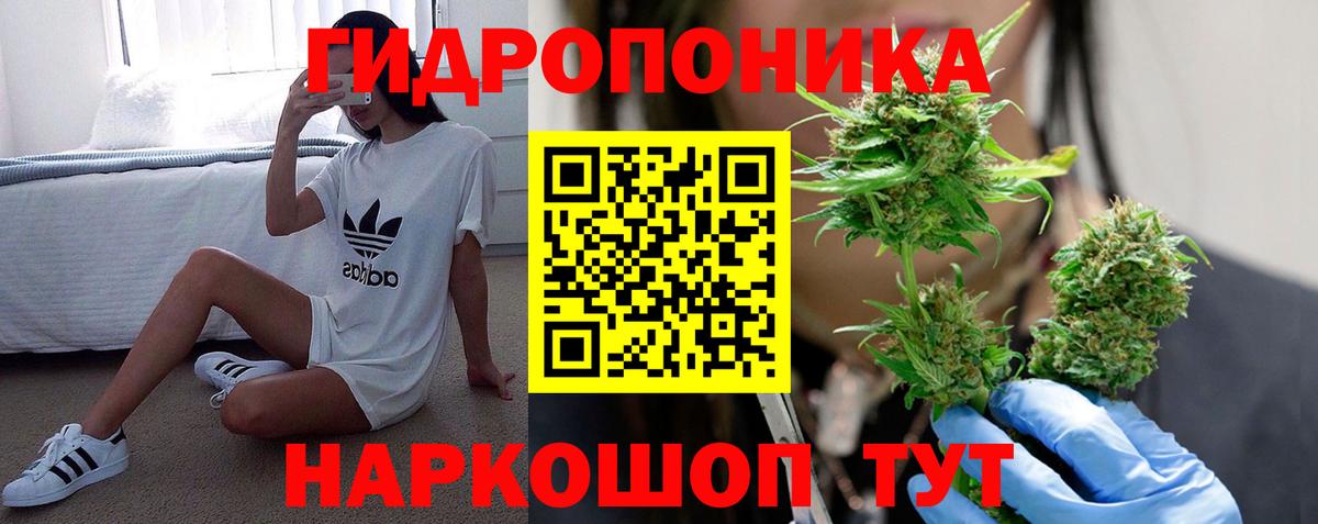 Конопля VHQ Губкинский